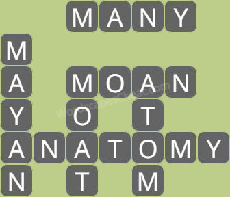 Wordscapes level 6013 answers