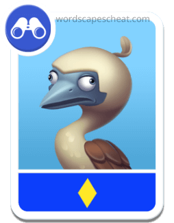 Blue Footed Booby